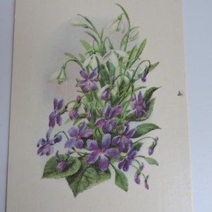 Violetas, flores, flocos de neve, cartão de flores, cartão postal desenhado vintage, cumprimentos de aniversário, cartão postal soviético, ilustração, cartão de flores da URSS em branco da década de 1970