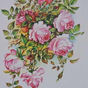Rose rosa, bocciolo di rosa, fiori, congratulazioni, auguri di compleanno, cartolina sovietica vintage, illustrazione, biglietto di compleanno vuoto per URSS, anni ’80