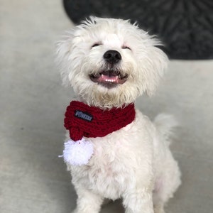 Dog winter scarf online