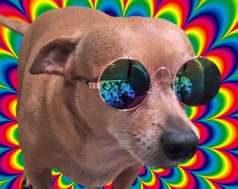 Lennon Glasses for Small Dogs 3-15lbs * Dog Sunglasses * Fun for Instagram and Social Media Posts