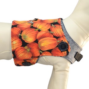 May include: A white dog mannequin wearing a pumpkin-print dog vest with a grey harness. The vest has a snap closure and a button. The text "Harness Sold Separately See Description for Details" is above the dog. The text "Small Harness/Cover Featured" is below the dog. The text "It's a doggy thing Pawzly.com" is in the lower right corner of the image.