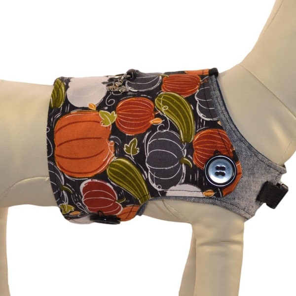 Autumn Pumpkins & Gourds Dog Harness Vest * Fall Leaves, White Pumpkins * Interchangeable Reversible Pet Dog Cover for PAWZLY Harnesses