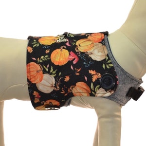 May include: A dog harness cover with a black background and a pattern of orange and white pumpkins and fall leaves. The harness has a gray denim-like section with a black button. A size chart and the Pawzly.com logo are also visible.