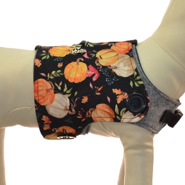 A Thanksgiving Pumpkin Harvest w/ Fall Acorns Autumn Leaves Dog Harness Vest * Interchangeable Reversible Pet Dog Cover for PAWZLY Harnesses