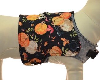 A Thanksgiving Pumpkin Harvest w/ Fall Acorns Autumn Leaves Dog Harness Vest * Interchangeable Reversible Pet Dog Cover for PAWZLY Harnesses