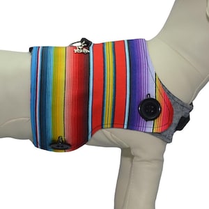 May include: A white dog mannequin wearing a colourful striped serape and a brown sombrero. The dog is wearing a grey harness underneath the serape. The text "It's a doggy thing Pawzly.com" is on a blue circle with a white dog icon.