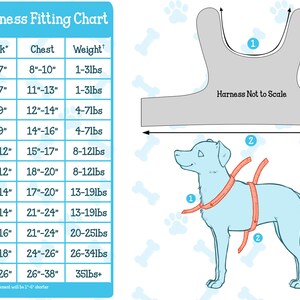 May include: A chart showing the Pawzly harness fitting guide for dogs. The chart includes size, neck, chest, and weight measurements in inches and pounds. A diagram shows how to measure a dog for a harness.