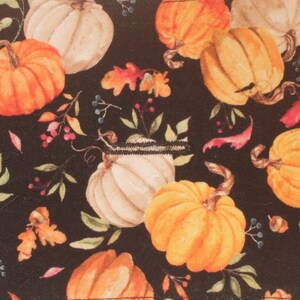 A Thanksgiving Pumpkin Harvest w/ Fall Acorns Autumn Leaves Dog Harness Vest Interchangeable Reversible Pet Dog Cover for PAWZLY Harnesses image 5