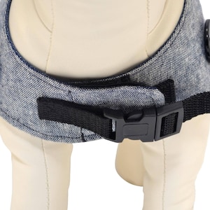 Sizes S and up include a snap-lock buckle at the neck for added security on walks.