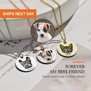 Custom Pet Photo Necklace, Engraved Dog Cat Portrait from Photo, Waterproof Pet Memorial Jewelry, Pet Loss Sympathy Gift for Her, FN-154
