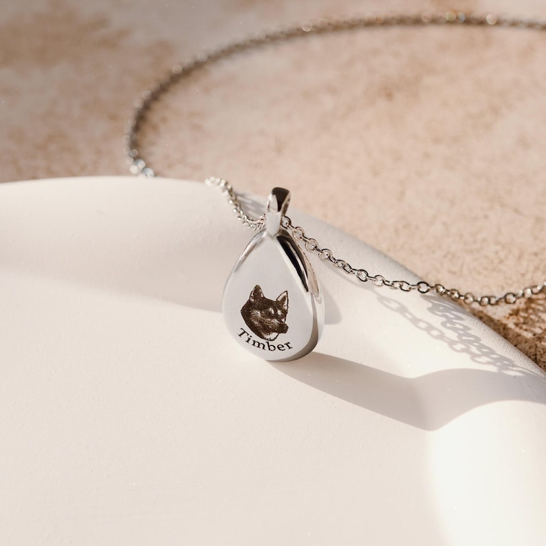 Personalized Cremation Jewelry, Pet Ashes Necklace, Pet Urn Necklace, Dog Mom Memorial Gift for Her, Engraved Necklace for Cat Moms, FN-162 image 3