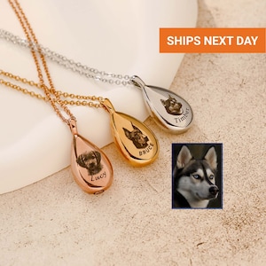 Timeless Personalized Cremation Jewelry, Pet Ashes Necklace, Pet Urn Necklace, Dog Mom Memorial Gift for Her, Necklace for Cat Moms, FN-162 image 1
