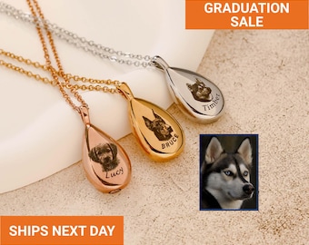 Joyería funeraria personalizada, collar para cenizas de mascotas, collar para urna de mascotas, regalo conmemorativo para mamás de perros, collar grabado para mamás de gatos, FN-162
