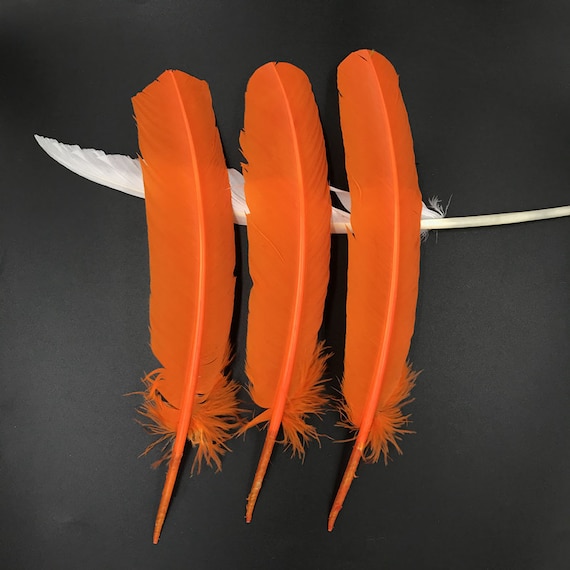 Real Turkey Feather Orange Bulk Large Featherscosplay Featherscraft Feathercheap Featherswholesale Feathersparty Decor 8 14 Inches Etsy