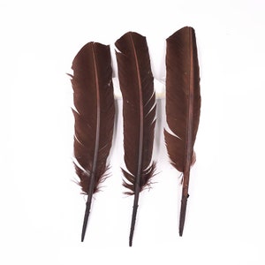 Bulk Turkey Feather - Genuine Natural Brown Dyeing Feathers，Halloween Feathers，Carnival Feathers，Wedding Feathers，Feather Supplies 8-14 Inch