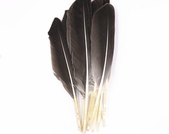 Goose Feathers - Real Natural Gray Long Goose Feathers，Bulk Feathers，Wedding Deocr，Headband Feathers，Indian Headdress 8-11 Inches