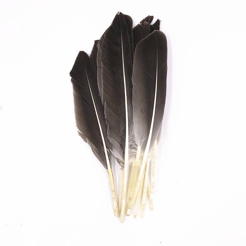Silver Dyed Turkey Feathers, Pkg of 4 Gray Feathers, Large Feathers,  Colored Feathers, Hat Feather 
