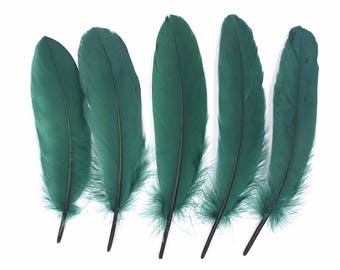 May include: Five teal green feathers with a natural quill tip. The feathers are arranged in a row, with the tips pointing to the right.