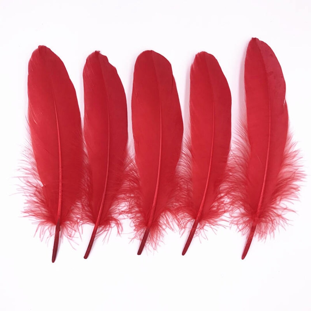 Goose Feathers Genuine Natural Red Dyeing Featherswedding Feathersbulk