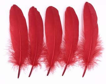 Goose Feathers - Genuine Natural Red Dyeing Feathers，Wedding Feathers，Bulk Feather,Halloween Feathers,Headpiece Feathers 6-8 Inches