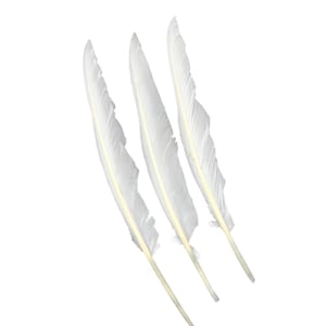 Piume d'oca reali - Piume grandi alla rinfusa bianca naturale, piume dell'archetto, piume del matrimonio, decorazioni per feste, piume di carnevale 12-16 pollici
