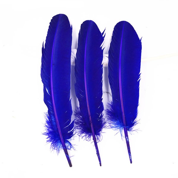 Royal Blue Feather Etsy
