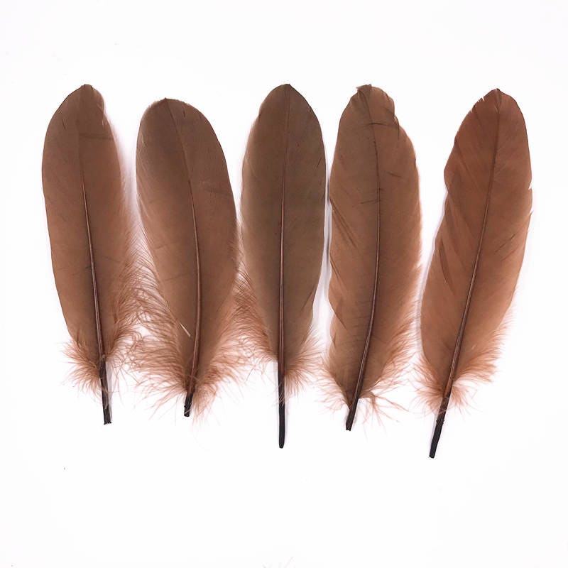 100 Pcs Brown Goose Feathers Goose Round Quill Feathers 5-7inch Long 