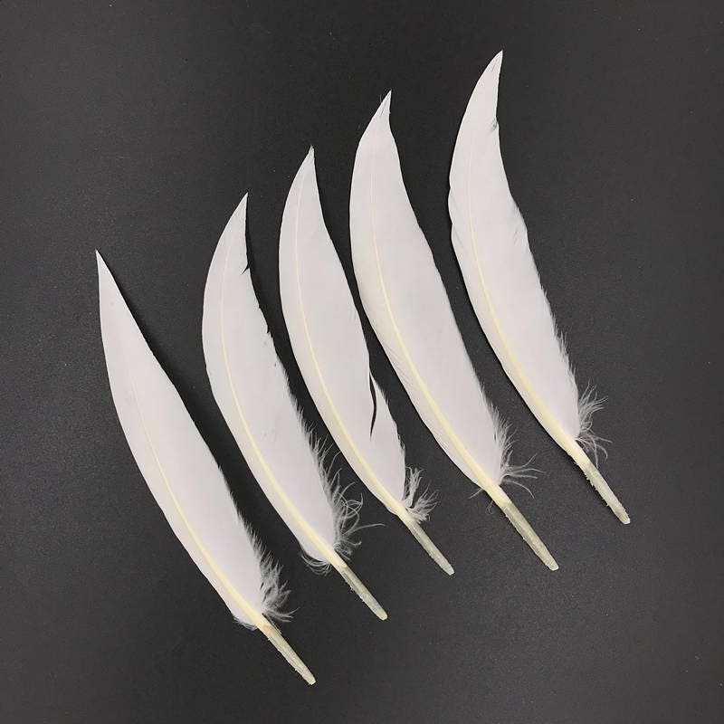 Real Goose Feathers For Sale White Dyeing Natural Bulk Etsy