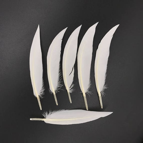 white feathers for sale in bulk