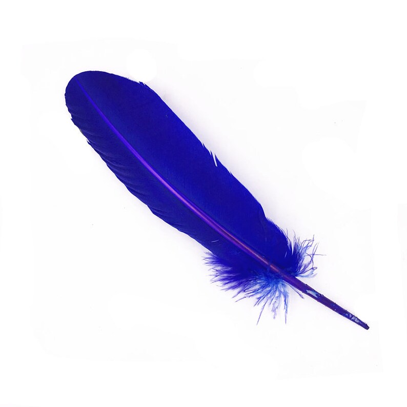 Lot De 24 Plumes Naturelles D'aile De Dinde Sauvage - 10-12 Pouces (25-30 Cm) Pour Créations DIY