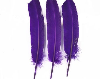 Genuine Feather - Purple Bulk Large Turkey Feather，Headband Feathers，Wedding Deocr，Party Decorate，Halloween Feathers，Hat Feathers 8-14 Inch