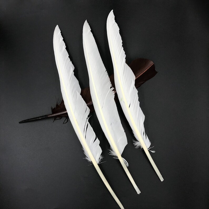 Real Goose Feathers Natural White Bulk Large Etsy