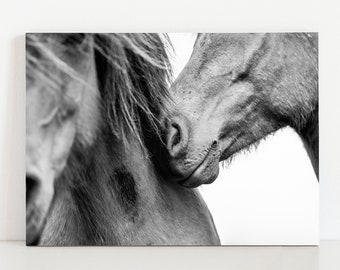 Love - Horse Photography, Equine Wall Art, Home Decor, Equine Fine Art Horse Print, Black and White