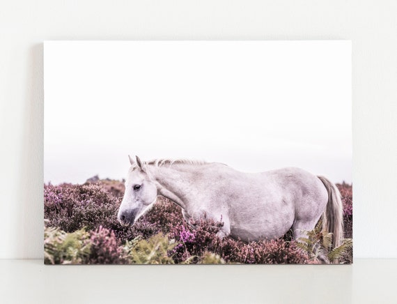 Horse Fine Art Photography Horse Photography Equine Fine Art Print Home Decor New Forest Pony Wall Art Roaming Free