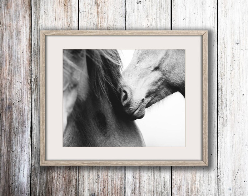 Love Horse Photography Equine Wall Art Home Decor Equine Etsy