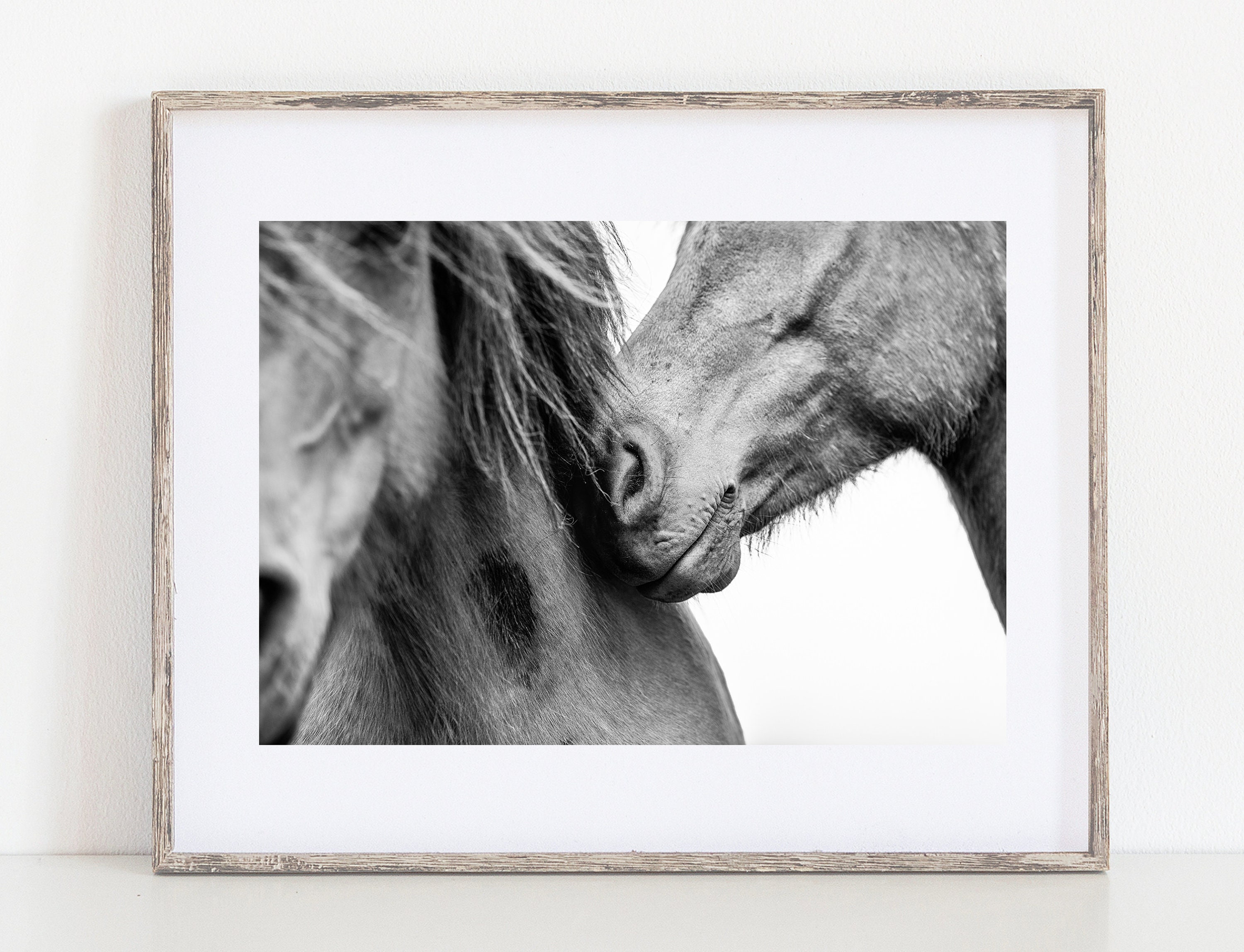 Love Horse Photography Equine Wall Art Home Decor Equine Etsy