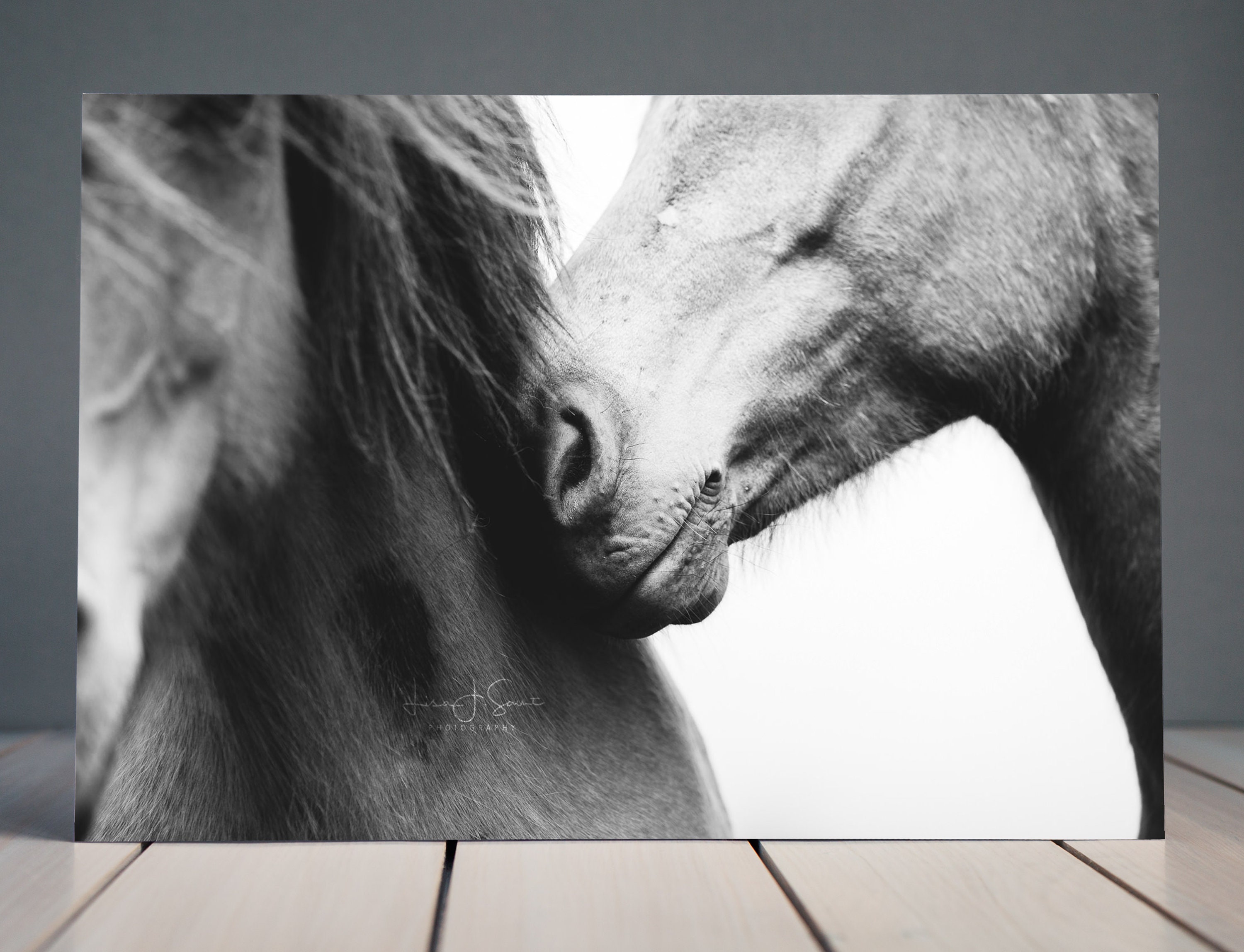 Love Horse Photography Equine Wall Art Home Decor Equine Etsy