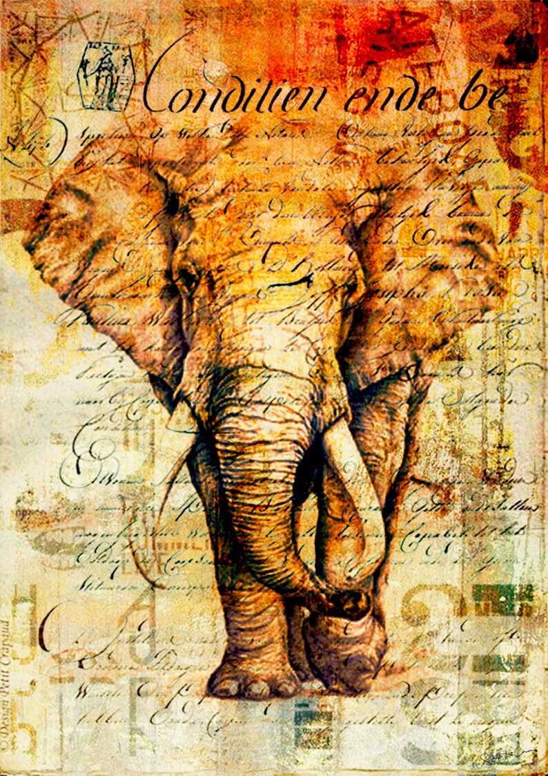 Elephant Mixed media collage Africa animal illustration Etsy