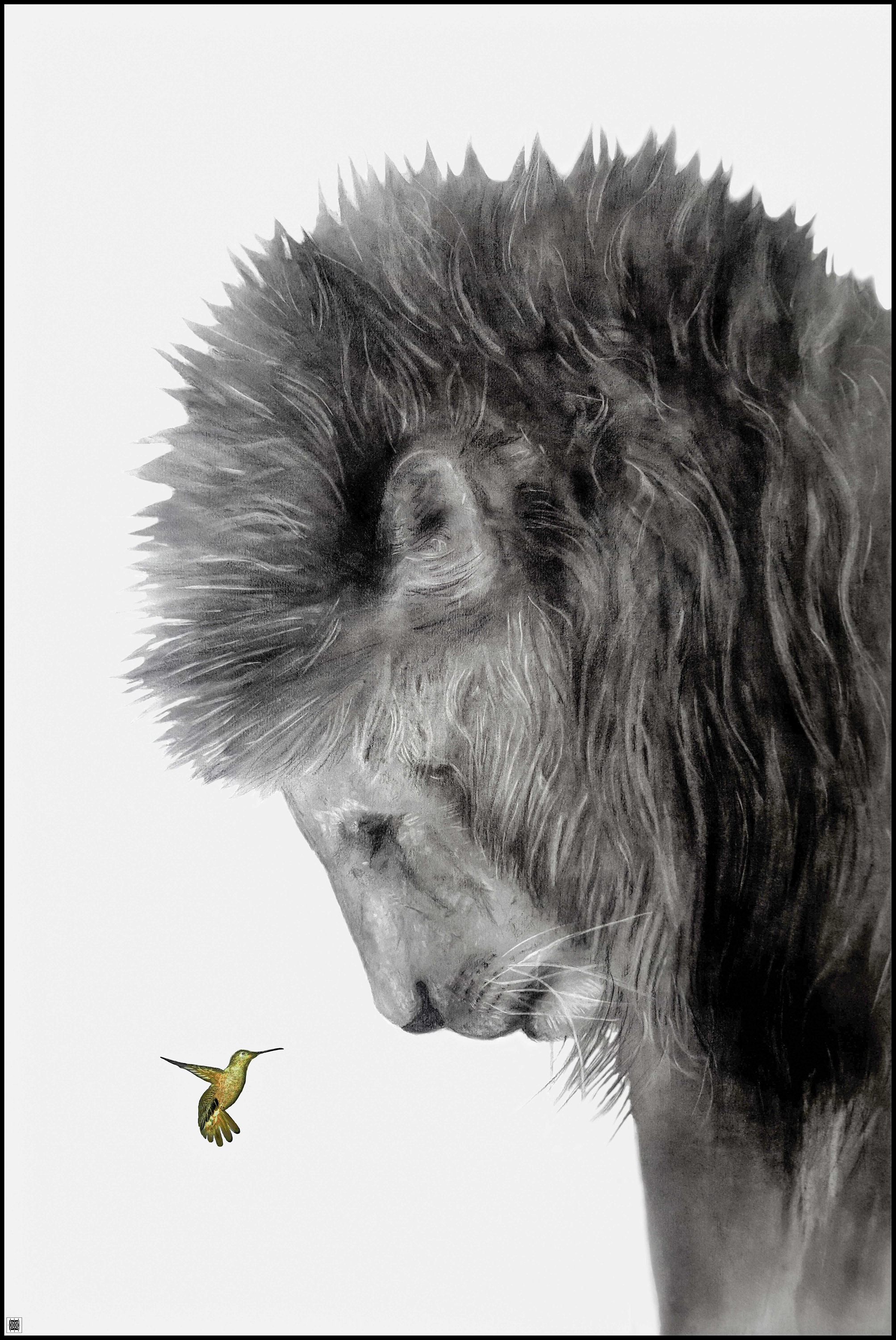 Lion and Hummingbird Pencil Drawing Print, Original Drawing Print