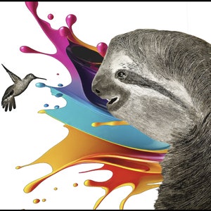 Impresión de dibujo a lápiz de perezoso y colibrí, dibujo original impresión 3x2, perezoso y pájaro en blanco y negro, dibujo de animales muy detallado