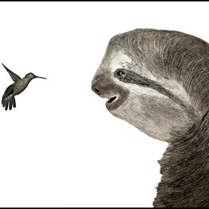 Impresión de dibujo a lápiz de perezoso y colibrí, dibujo original impresión 3x2, perezoso y pájaro en blanco y negro, dibujo de animales muy detallado
