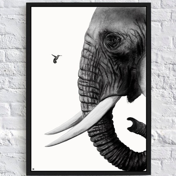 Elephant and hummingbird pencil drawing Print. Print from original drawing, Black and white Elephant and bird, detailed animal drawing