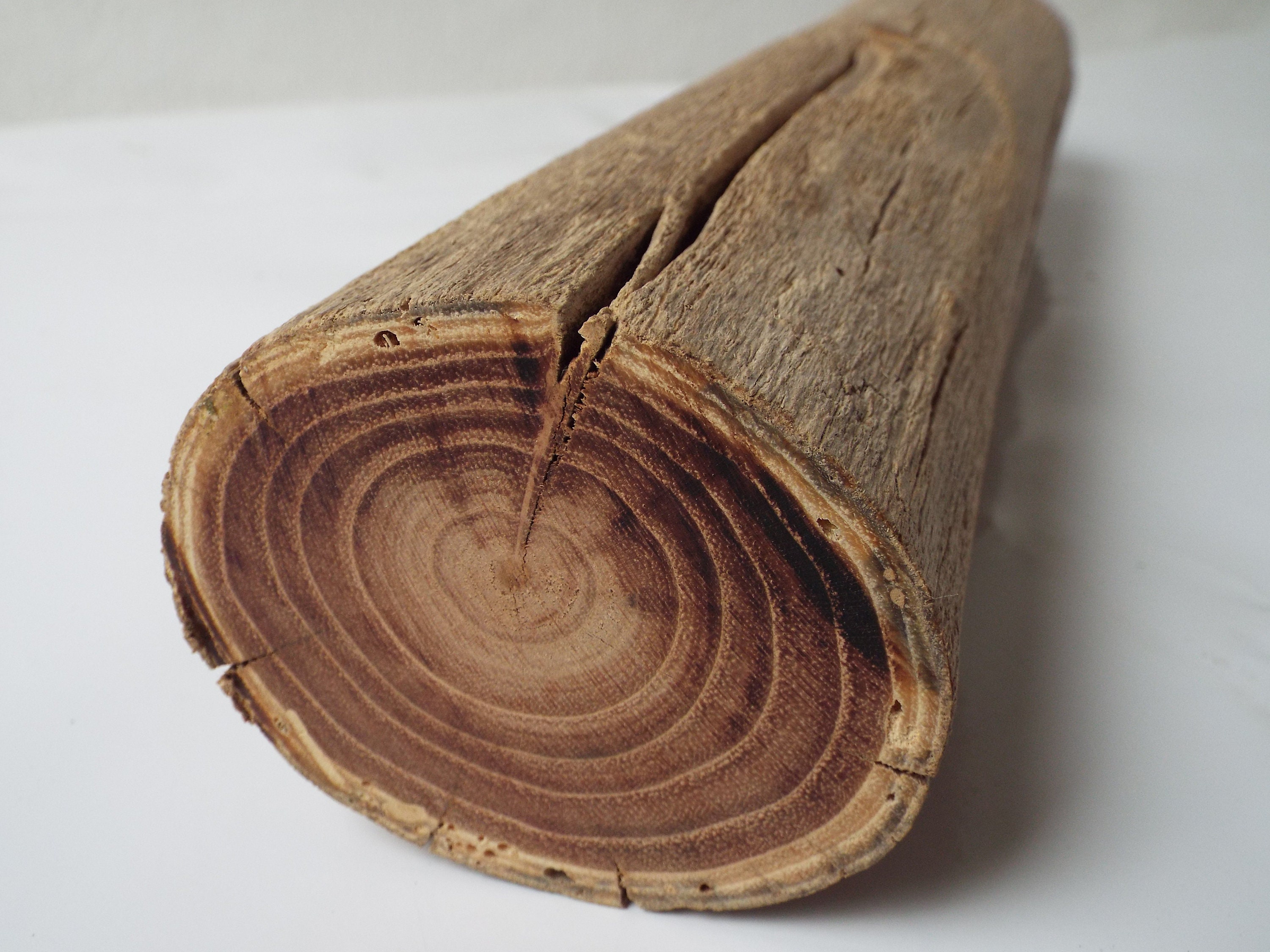 Antigua Rama De Madera De Acacia Madera De Acacia Decoración Etsy