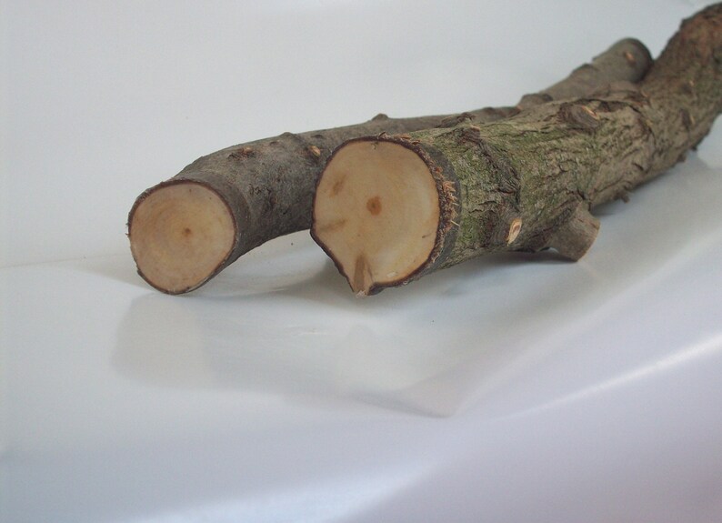 Hawthorn Branchset of Twowoodworkingnatural Wood Etsy