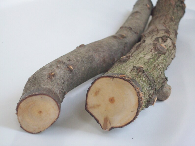 Hawthorn Branchset of Twowoodworkingnatural Wood Etsy