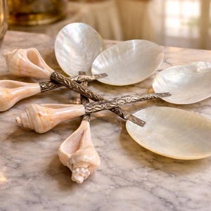 Vintage set of 4 Mother of Pearl spoons with shell handles/ caviar