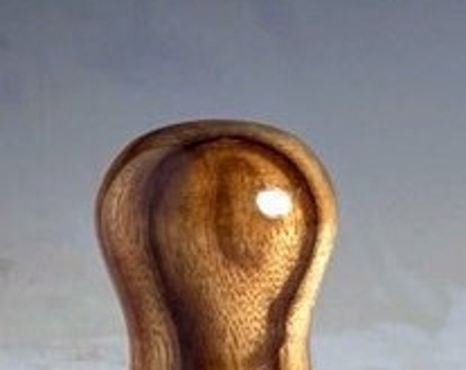 Wine Stopper / Bottle Stopper Stainless with Camphor Wood