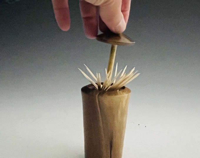 Unique Wood Toothpick Holder -  Walnut & Maple