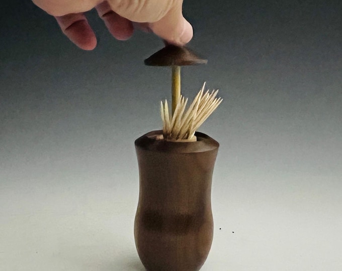Unique Wood Toothpick Holder -  Walnut & Maple
