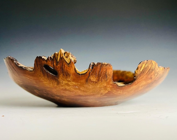 Rare Australian Mallee Burl Natural Edge Bowl - Decorative Art Piece